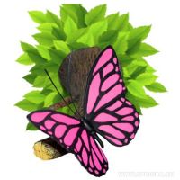 3D светильник "Бабочка" розовая